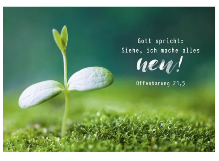 Jahreslosung 2026: Gott spricht: Siehe, ich mache alles neu! (Offenbarung 21, 5)
